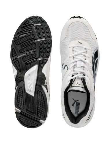 Puma_Tasveer_18688301