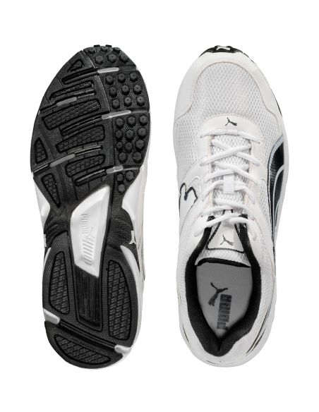 Puma_Tasveer_18688301