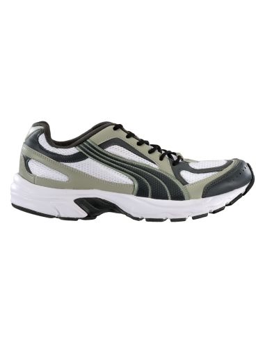 Puma_Tasveer_721_03_18689908