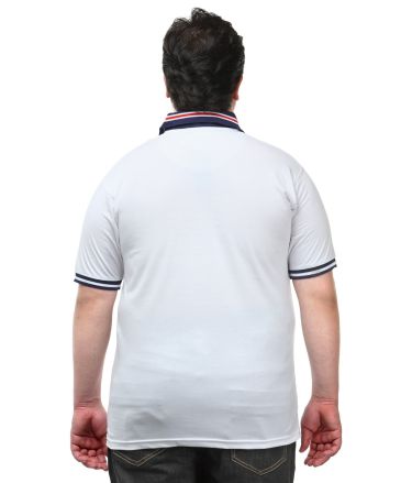 Pluss_Tasveer_977_83