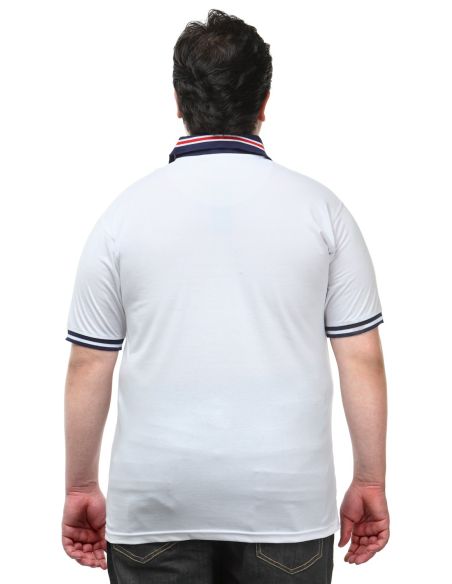 Pluss_Tasveer_977_83