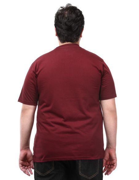 Pluss_Tasveer_977_99