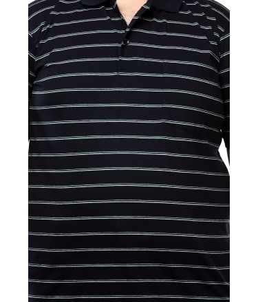 Pluss_Tasveer_977_100