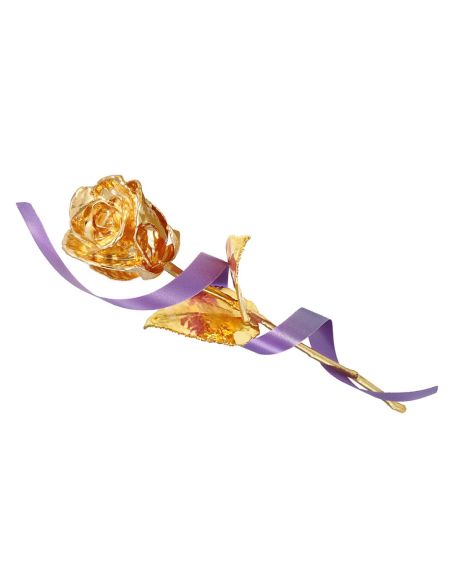 Groupon Tasveer_261_01_GOLDROSE -