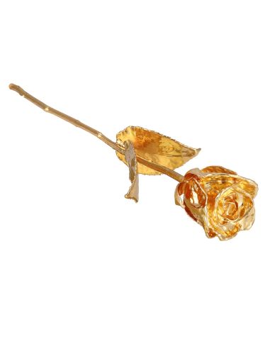 Groupon Tasveer_261_01_GOLDROSE -