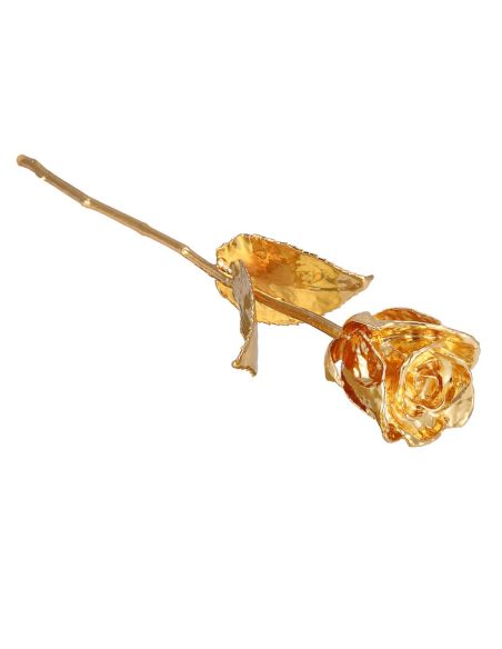 Groupon Tasveer_261_01_GOLDROSE -