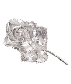 Groupon Tasveer_261_02_SILVERROSE