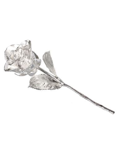 Groupon Tasveer_261_02_SILVERROSE