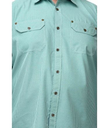 Pluss_Tasveer_977_44