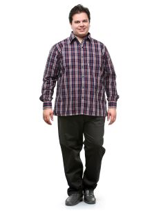 Pluss_Tasveer_977_107 2