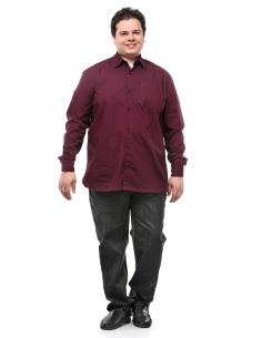 Pluss_Tasveer_977_70 2