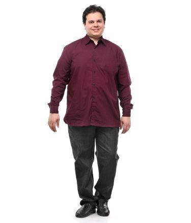 Pluss_Tasveer_977_70