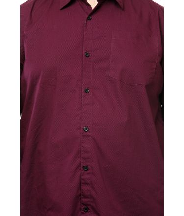 Pluss_Tasveer_977_70