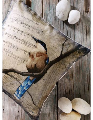 568_70 CUSHION_COVER_LR00000072243