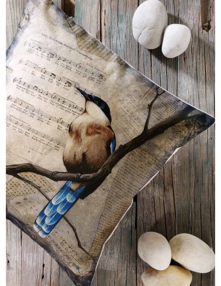 568_70 CUSHION_COVER_LR00000072243