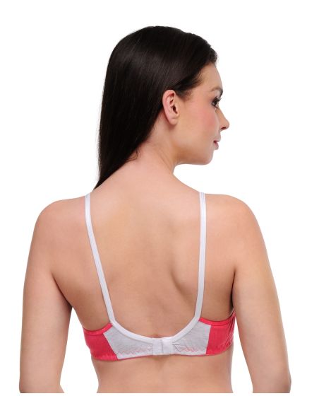 Oleva_1665_20_ONW-A-B7