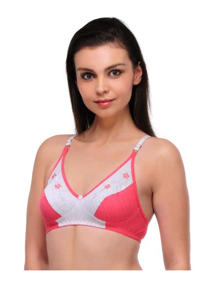 Oleva_1665_20_ONW-A-B7