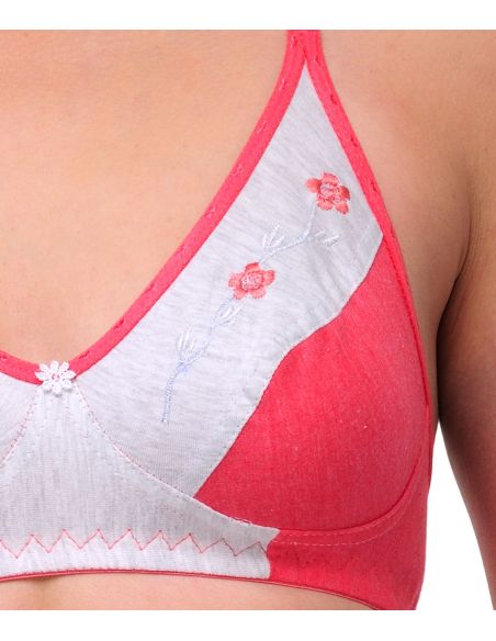 Oleva_1665_20_ONW-A-B7