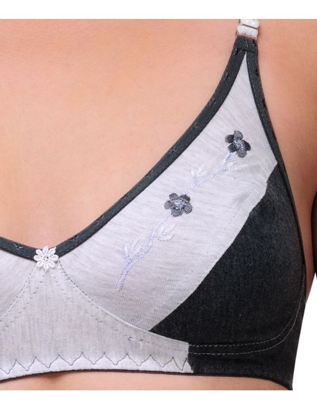 Oleva_1665_21_ONW-A-B7