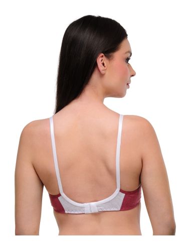 Oleva_1665_23_ONW-A-B7