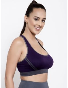Friskers Sports Bra 2