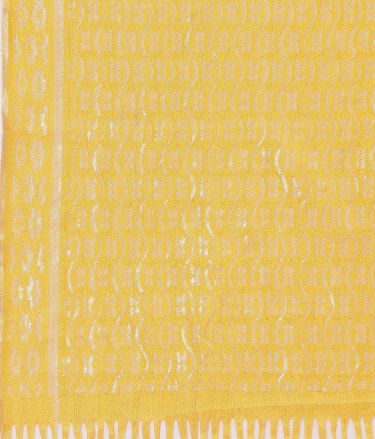 Sanisa_Leemboodi_Tasveer_A2119_01