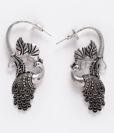 Panash_Tasveer_A1544_03