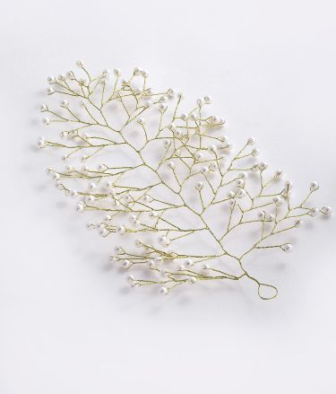 Panash_Tasveer_A1544_31