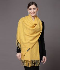 Mafadeny_Tasveer_A2242_53 2