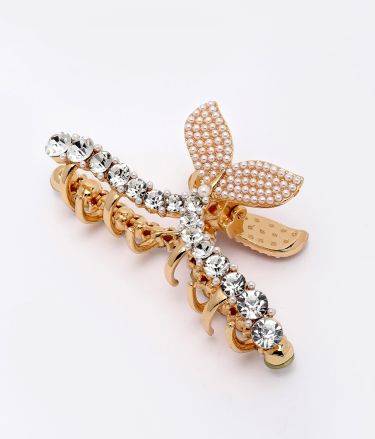 Panash_Tasveer_A1856_16