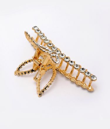 Panash_Tasveer_A1856_18