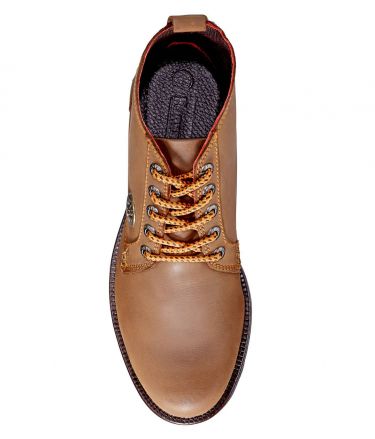 FORESSTER HARTMAN FR1B BRWN