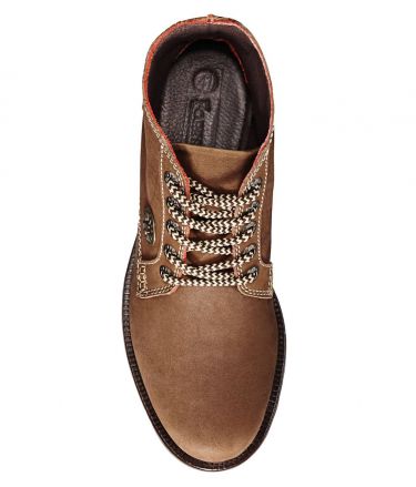 FORESSTER HARTMAN FR2C SEPIA BRWN