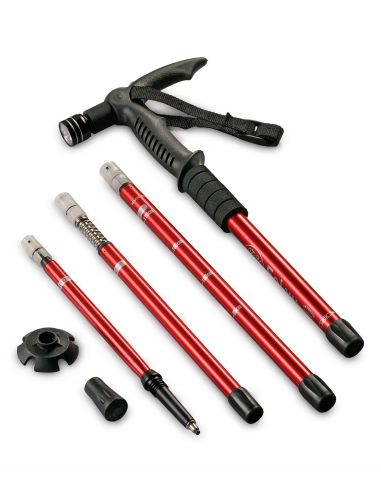 Tasveer_WalkingStick_RED