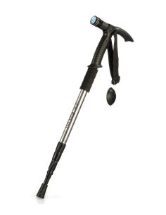 Tasveer_WalkingStick_SILVER 2