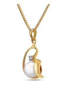 Aurik_tasveer_487_06_1 2