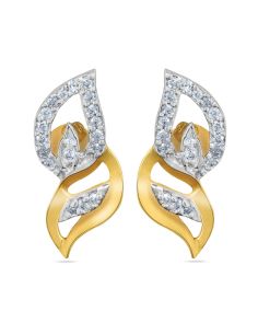 Aurik_Tasveer_Ear_17 2