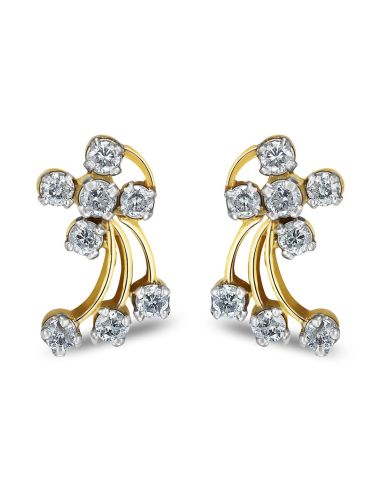 Aurik_Tasveer_Ear_30