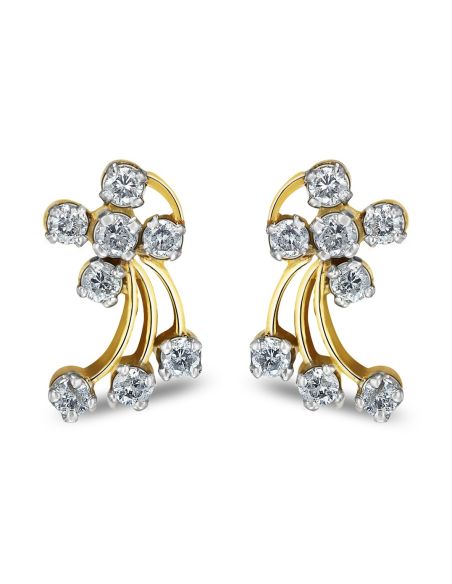 Aurik_Tasveer_Ear_30