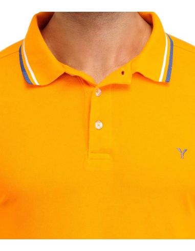 Yepme_Tasveer_YPMPOLO_15