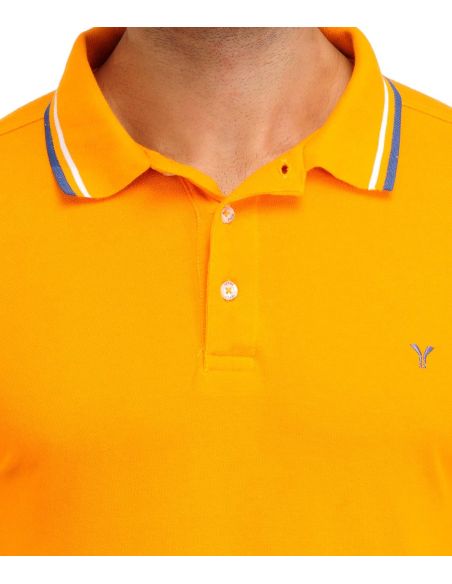 Yepme_Tasveer_YPMPOLO_15