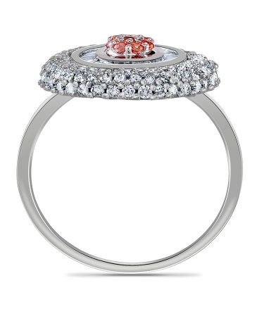 Aurik_tasveer_CHCK_11