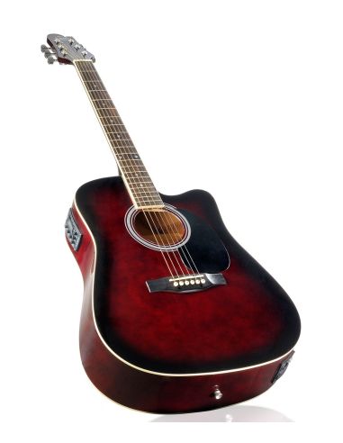 Amrit_Musicals Tasveer_10_RT_100CEQ2_BK