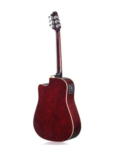 Amrit_Musicals Tasveer_10_RT_100CEQ2_BK