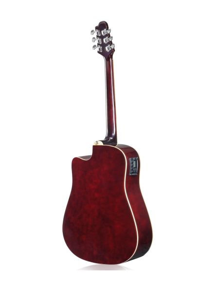 Amrit_Musicals Tasveer_10_RT_100CEQ2_BK