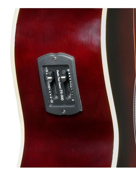 Amrit_Musicals Tasveer_10_RT_100CEQ2_BK